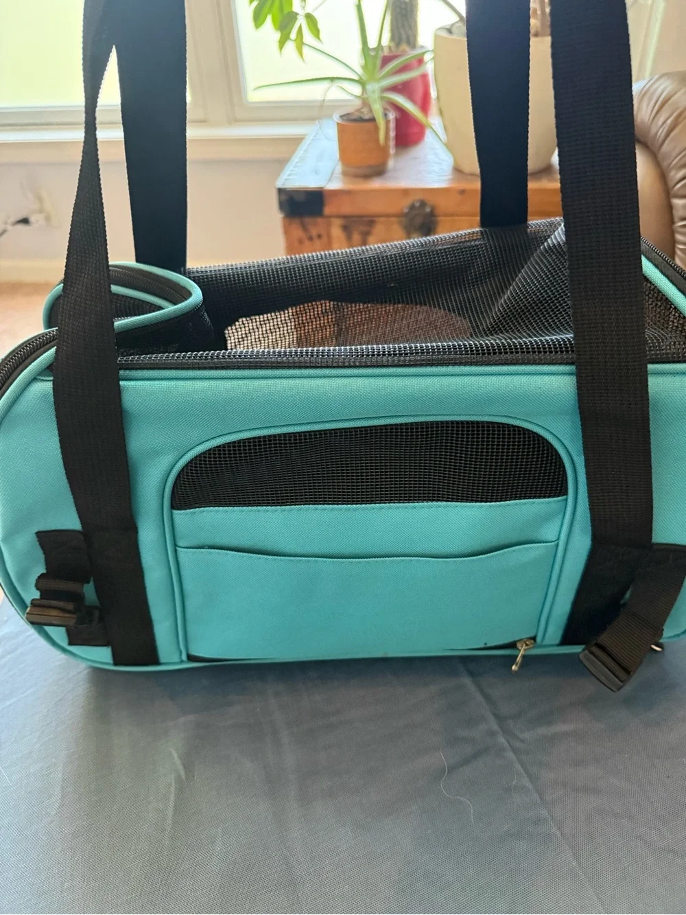 Teal Pet Carrier Bag